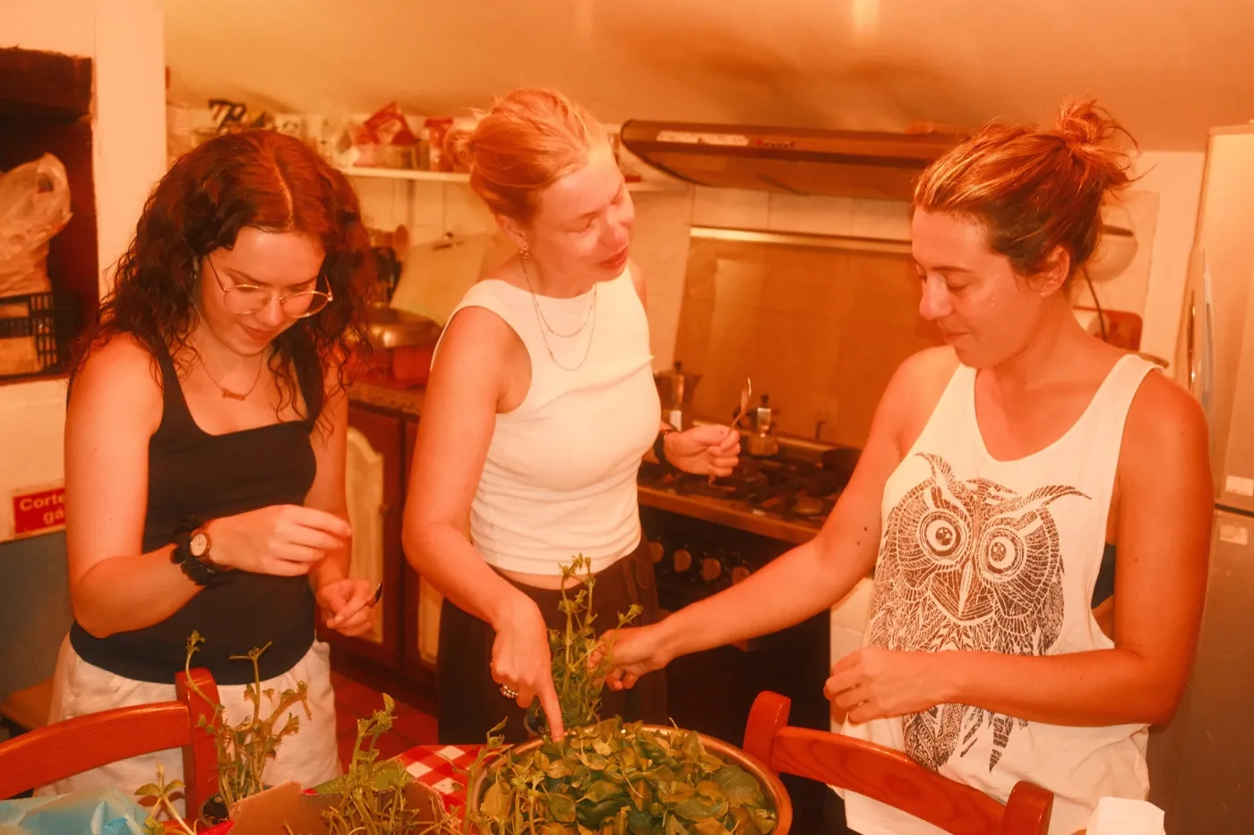 A house dinner