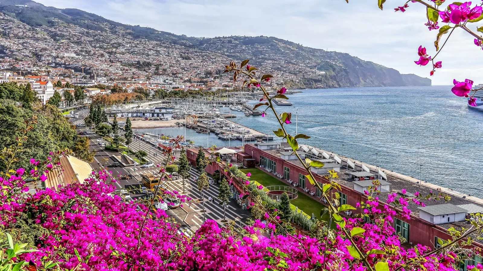 Funchal harbour